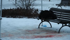 Місце, де знайшли ймовірну вбиту українку