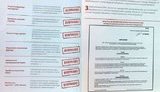выборы оппозиция