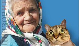 Бо внук голосував за Зекоманду