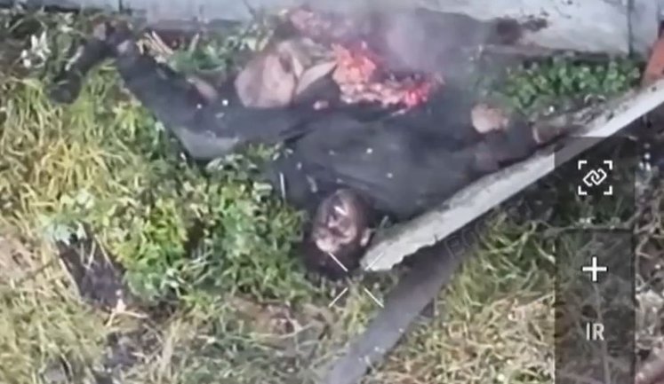 Пара українських FPV-дронів розриває російського штурмовика на Сумському напрямку. ВIДЕО 18+