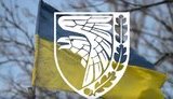 "Бригада, що робить з людини воїна", - на гімн 93-ї ОМБ "Холодний Яр" презентовано новий кліп. ВIДЕО