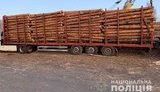 лес,вырубка,дрова,древесина