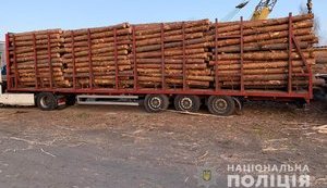 Полиция проводит обыски на житомирских лесоперерабатывающих предприятиях