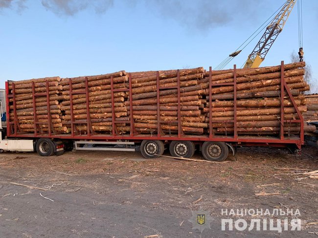 Полиция проводит обыски на житомирских лесоперерабатывающих предприятиях 02