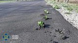 Через неякісний ремонт дороги на Черкащині обласний бюджет втратив 1,1 млн грн, - СБУ. ФОТО