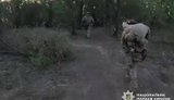 Поліцейський врятував пораненого