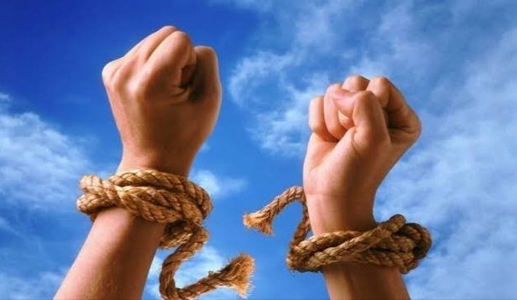Since beginning of full-scale war, police have recorded 635 cases of human trafficking, - Ministry of Internal Affairs