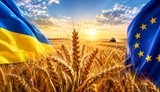 Як інтегрувати українське агровиробництво до норм ЄС раніше за інших? Рішення під ногами