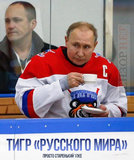 Тигр "русского мира"