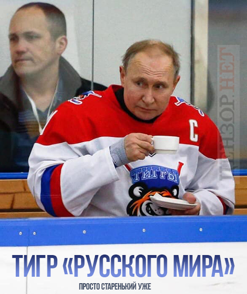 Тигр 