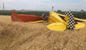 One dies in light plane crash in Poltava region. PHOTO