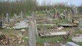 В Винницкой области вандалы разгромили 66 надгробий на старом еврейском кладбище. ФОТОрепортаж