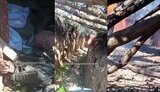 Destruction of Russian army artillery position