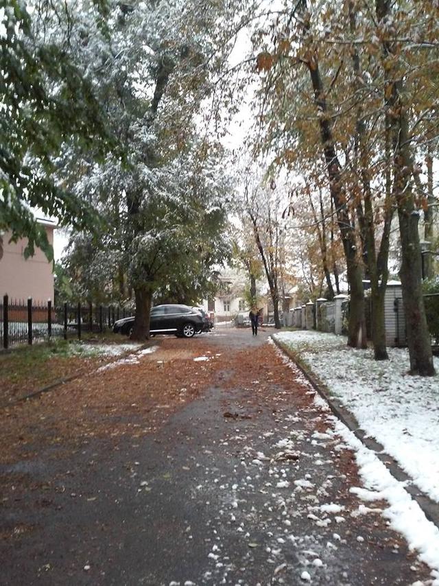львов снег