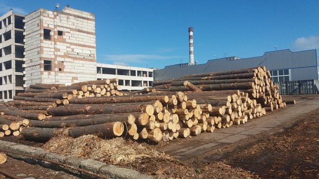 Цензор.НЕТ Зображення