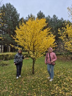 Цензор.НЕТ Зображення