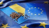 Аграрний експорт з України до ЄС можуть обмежити