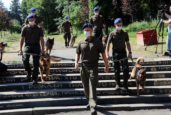 Парад собак, защищавших Украину на Донбассе, состоялся во Львове 01