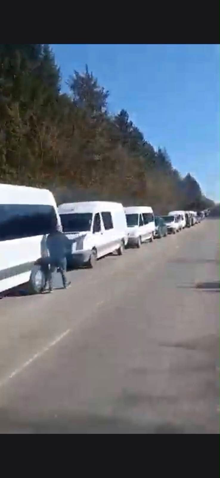 Тіньовий ринок нелегальних перевезень в Україні