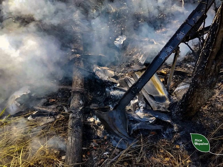 Forest fires in Ukraine – 87 per cent of the area burnt this week was caused by Russian attacks