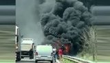 "І правда має моторошний вигляд", - на трасі Київ-Одеса згорів пасажирський автобус. ВIДЕО