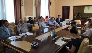 Запровадження європейського RAB-регулювання поліпшить якість електропостачання, - Експертна рада Міністерства енергетики