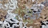 Военные без конкурса закупили маскировочных сеток на 50 миллионов