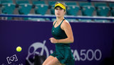Світоліна вийшла у чвертьфінал турніру WTA в Абу-Дабі, обігравши другу росіянку поспіль