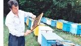 Православная группа "Сыновья России" записала песню для Виктора Ющенко: "Кто пчелок уважает". ВИДЕО