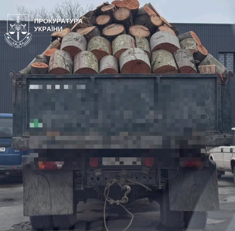 Правоохоронці повідомили про підозру 29 фігурантам справ про масштабні схеми у лісовій галузі
