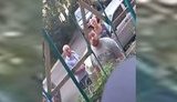 "Что мне теперь, сдохнуть!?" - соседи довели до слез спортсменку паралимпийской сборной Украины Пашкову, выступая против установки пандуса в подъезде. ВИДЕО