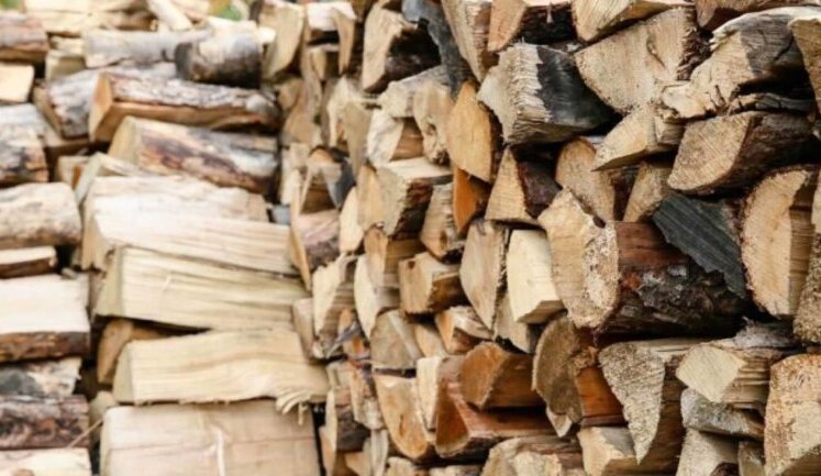 There are no and will not be any restrictions on firewood harvesting for people - Shmyhal