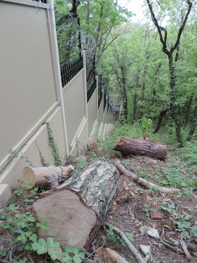 кирилл рпц дача