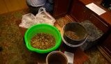 мвд янтарь