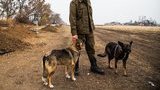 The Priest, the Pianist, a Cat, and a DIY Sauna: One Week in Ukraine’s Forgotten War