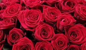 Контрабанда в’яне? Що змінилося на митниці за місяць