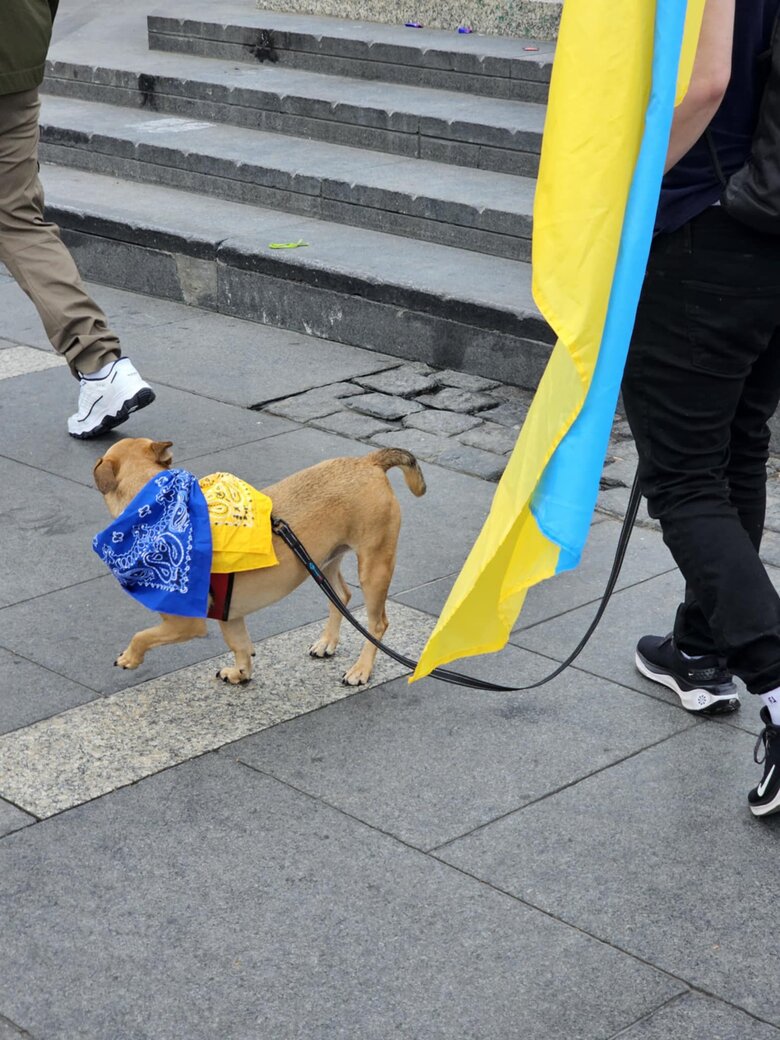 Акції на підтримку України з нагоди третьої річниці повномасштабного вторгнення РФ