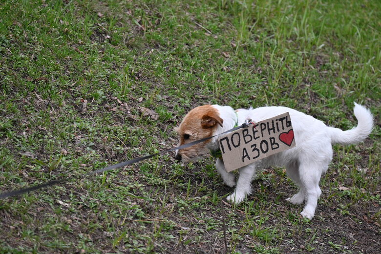 акція Полон вбиває Київ