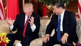Трамп хоче зустрітися із Сі Цзіньпіном на тлі тарифної війни