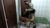 В одном из зданий избирательной комиссии в Одессе нашли дымовую гранату, - Нацполиция. ВИДЕО+ФОТОрепортаж