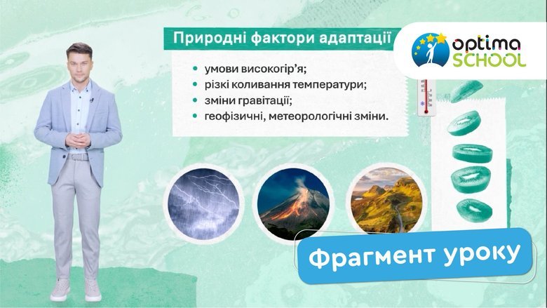 Дистанционная школа Оптима: обучение из любой страны