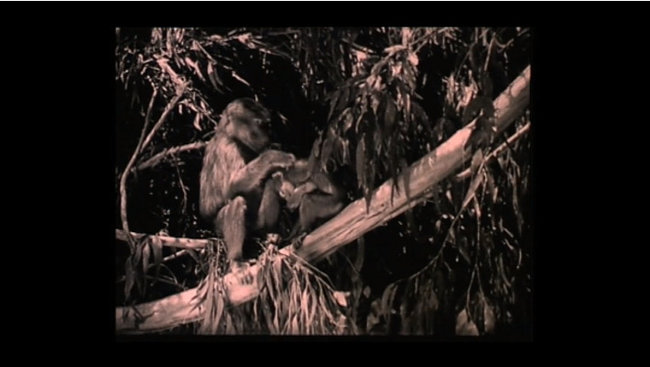 Україна викупила в Японії один зі своїх перших наукових фільмів, що вважався втраченим 04