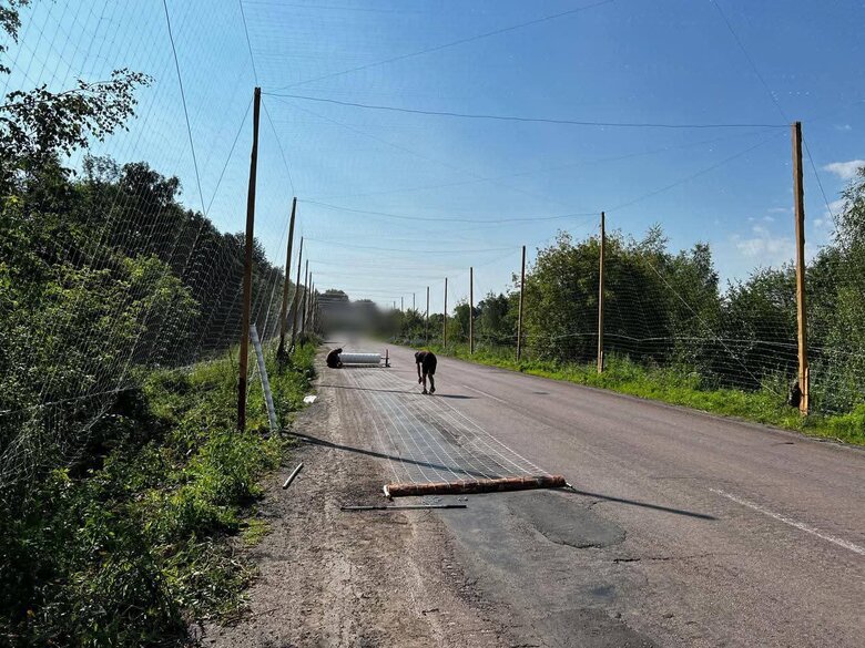 Антидронові тунелі на Сумщині
