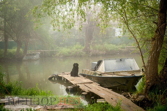 Тихі канали, швидка річка і дунайський оселедець - весна і осінь у Вилковому 05 Тихі канали, швидка річка і дунайський оселедець - весна і осінь у Вилковому 05