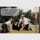 Погладь собачонку!