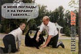 Погладь собачонку!