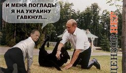 Погладь собачонку!