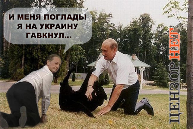 Погладь собачонку!