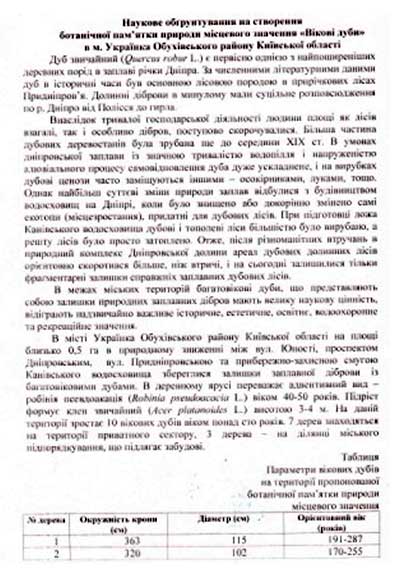 Історія одного міста: чому мер Українки пішов у добровільну відставку 04 Історія одного міста: чому мер Українки пішов у добровільну відставку 04