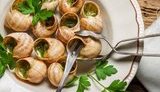 Улитки и яхты. Какие необычные товары продавала Украина за границу в 2019 году